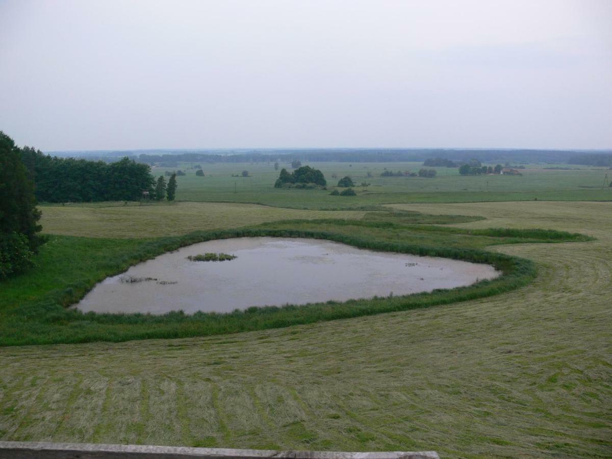 Zlota Lesniczowka Villa Rydzowka Екстериор снимка