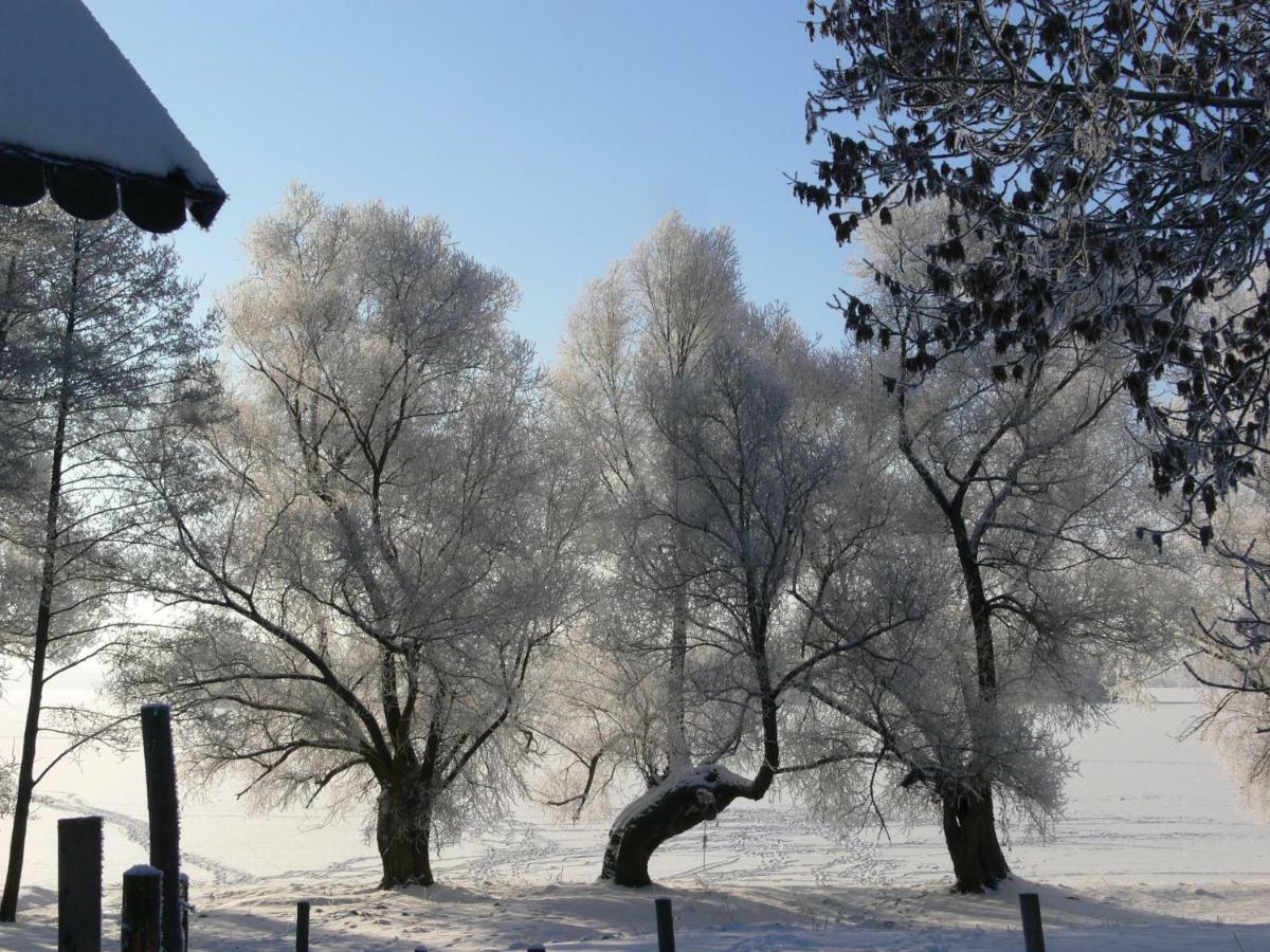 Zlota Lesniczowka Villa Rydzowka Екстериор снимка