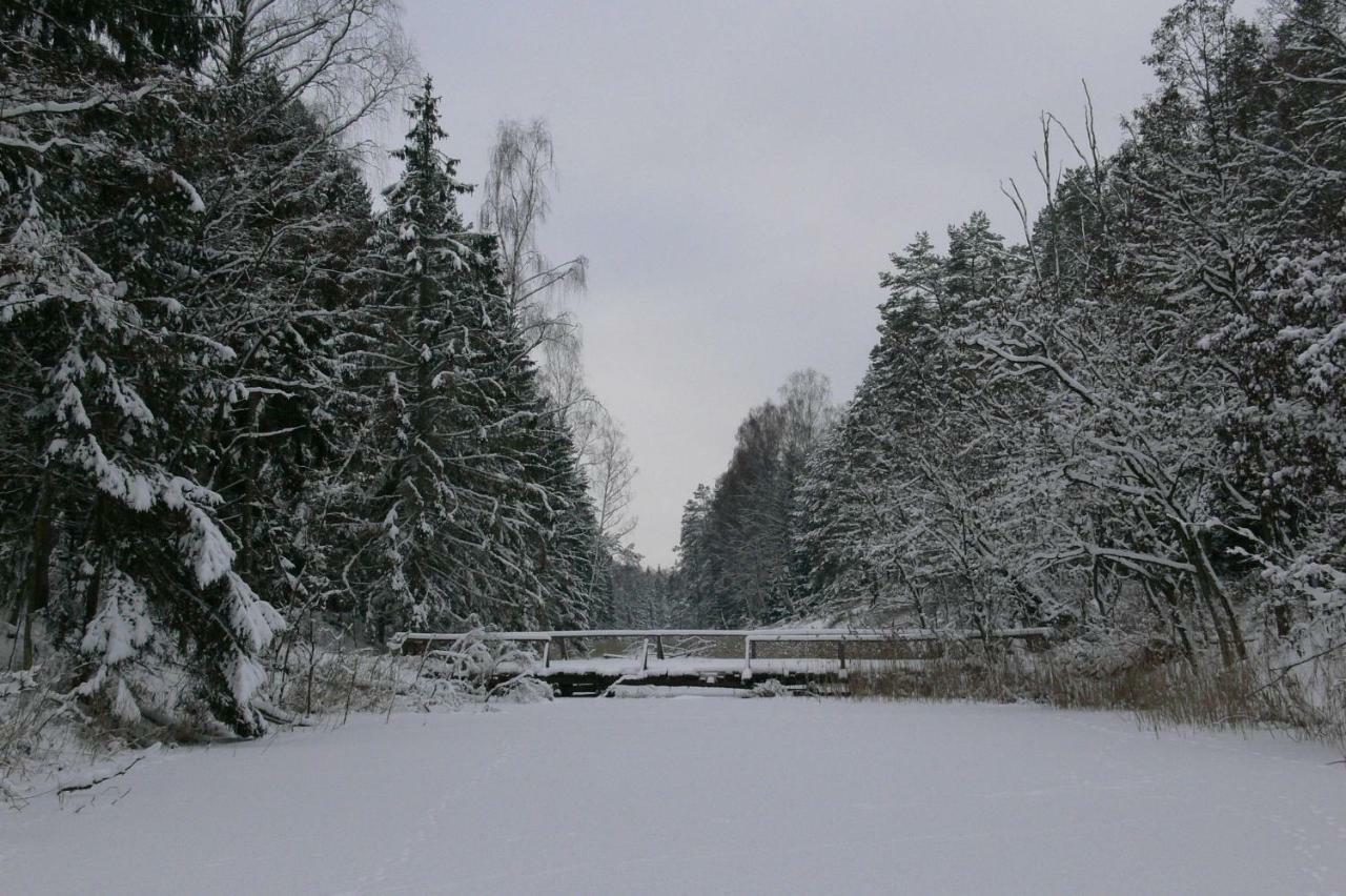 Zlota Lesniczowka Villa Rydzowka Екстериор снимка