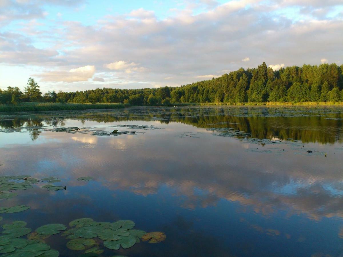 Zlota Lesniczowka Villa Rydzowka Екстериор снимка